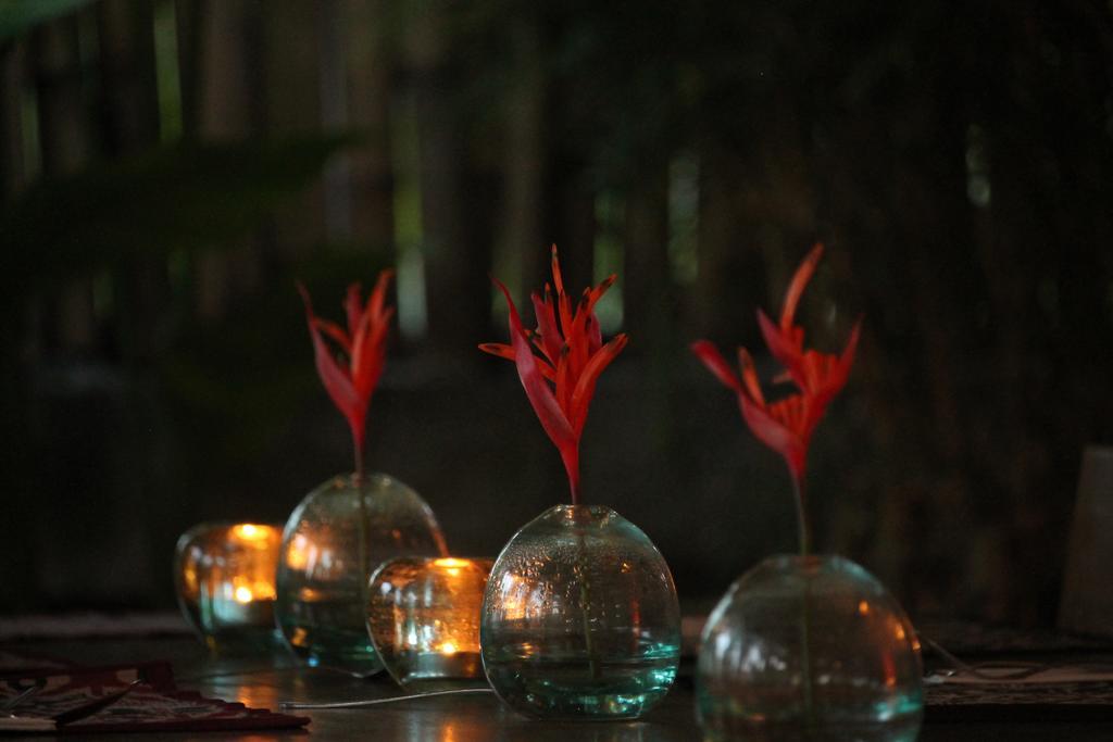 Kayu Bali Hotel Canggu Exterior foto